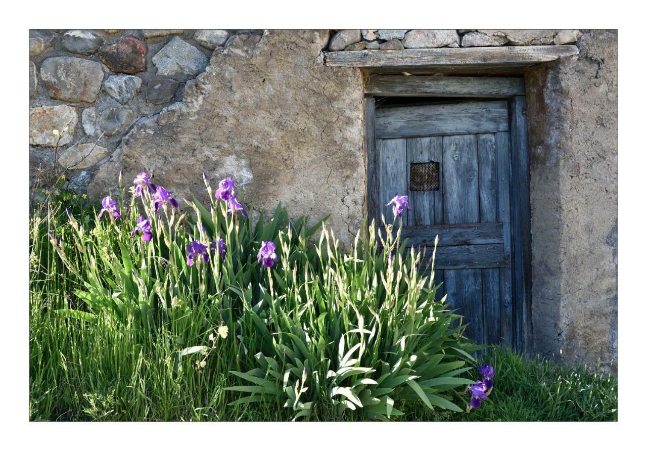 La Maison Abeil L'Argentiere-la-Bessee Ngoại thất bức ảnh
